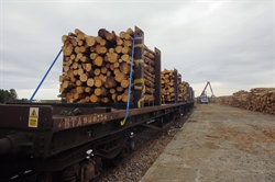 £195,000 for rail freight trial 