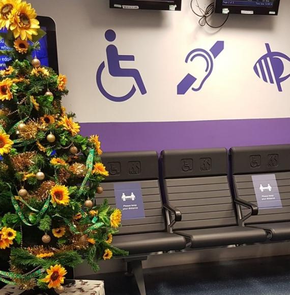 Euston station's 'sunflower' Christmas tree