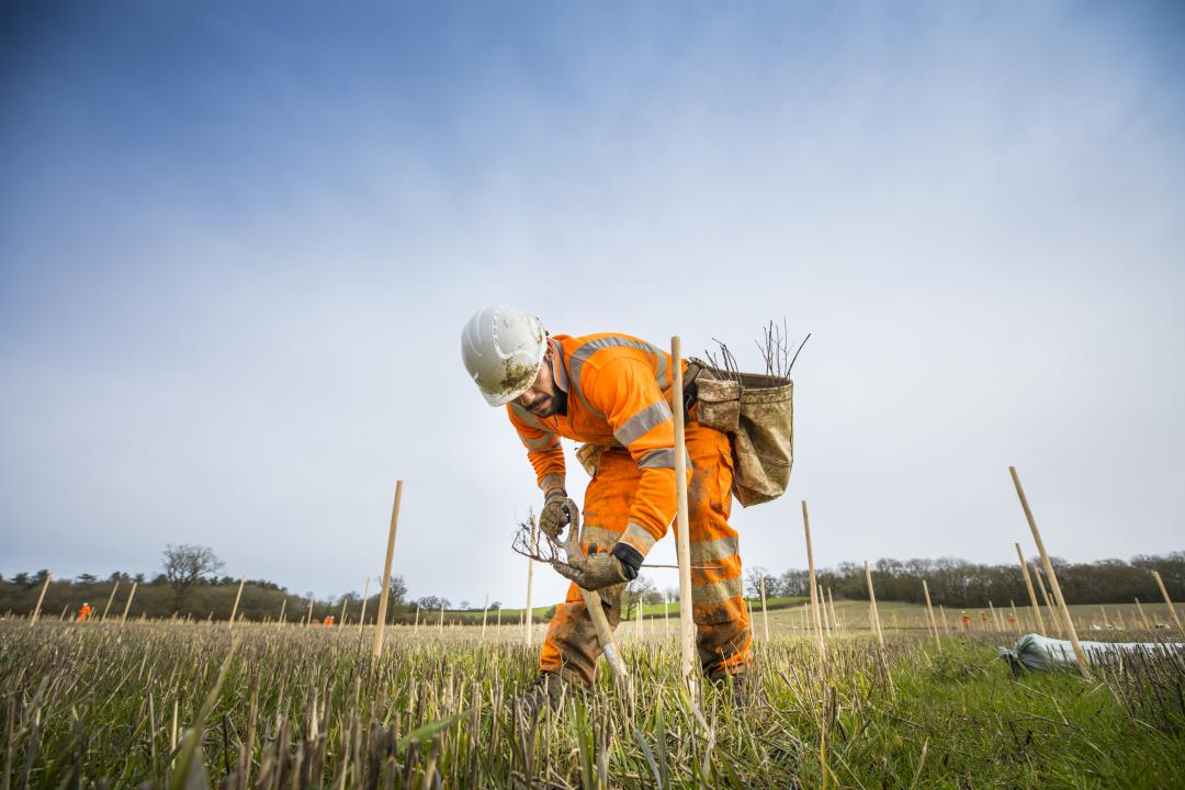 HS2 ecological work