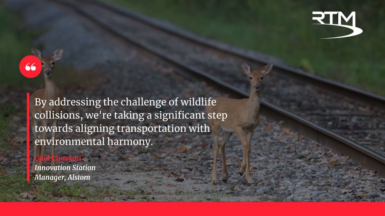 Alstom collaboration on wildlife detection technology | Rail News