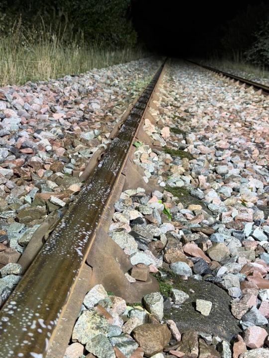 Gel application to railhead