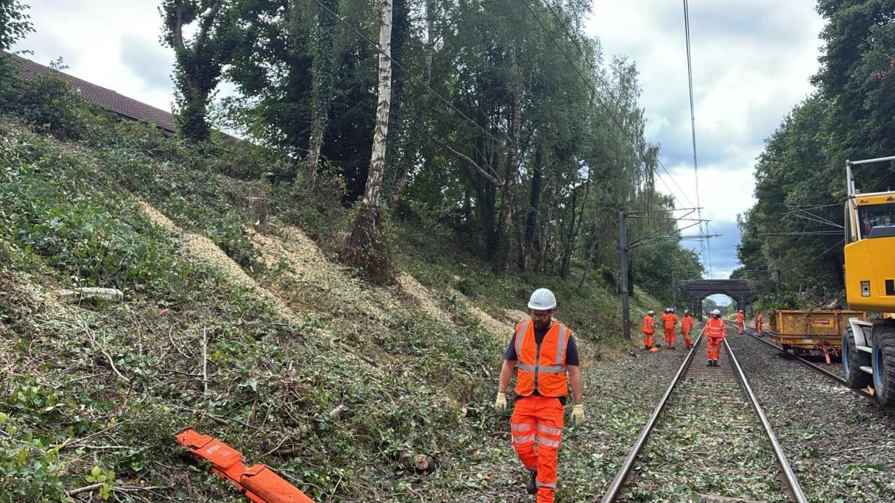 Network Rail Engineers removing vegitation