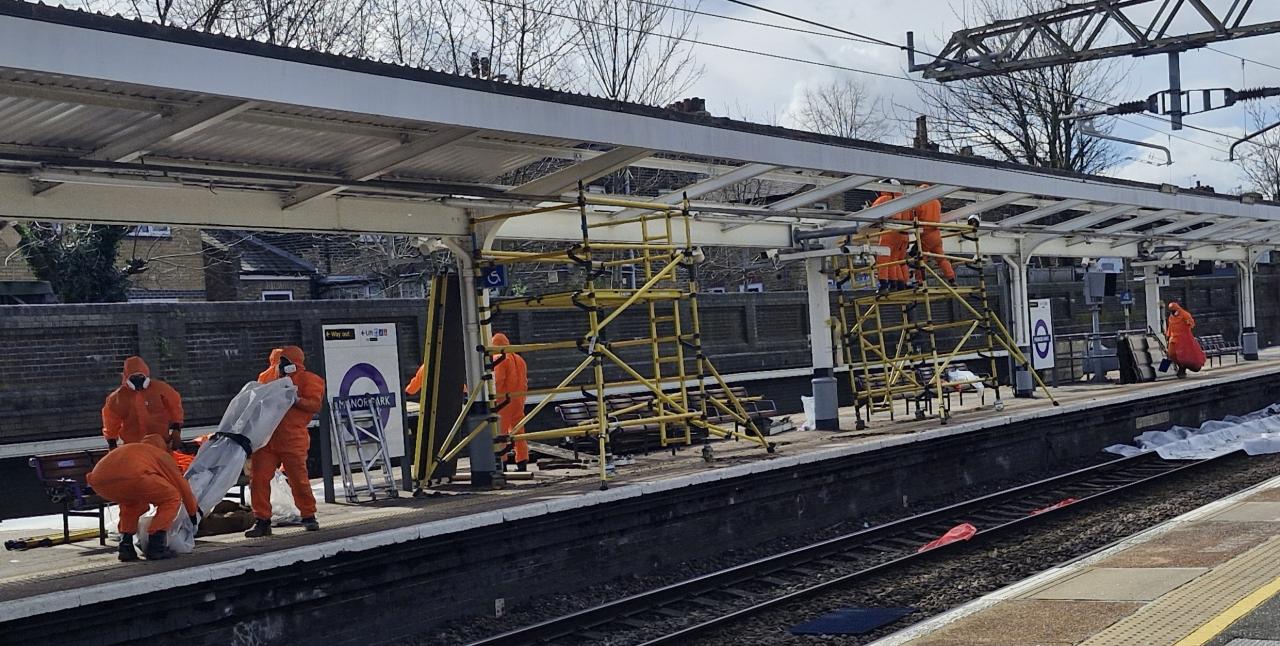 Removing Asbestos from Canopy at Manor Park