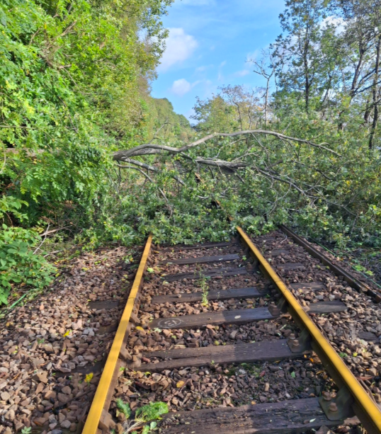 Tree Blocking Track