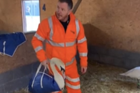 Network Rail being trained on safety removing swans 