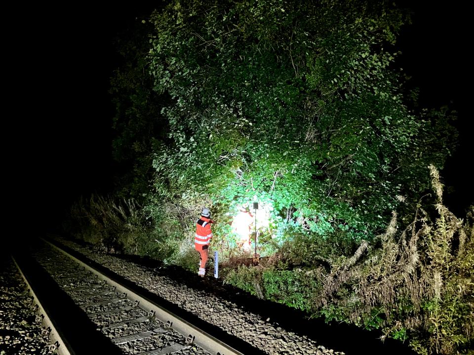Vegetation Management on he Wrexham to Bidston Line
