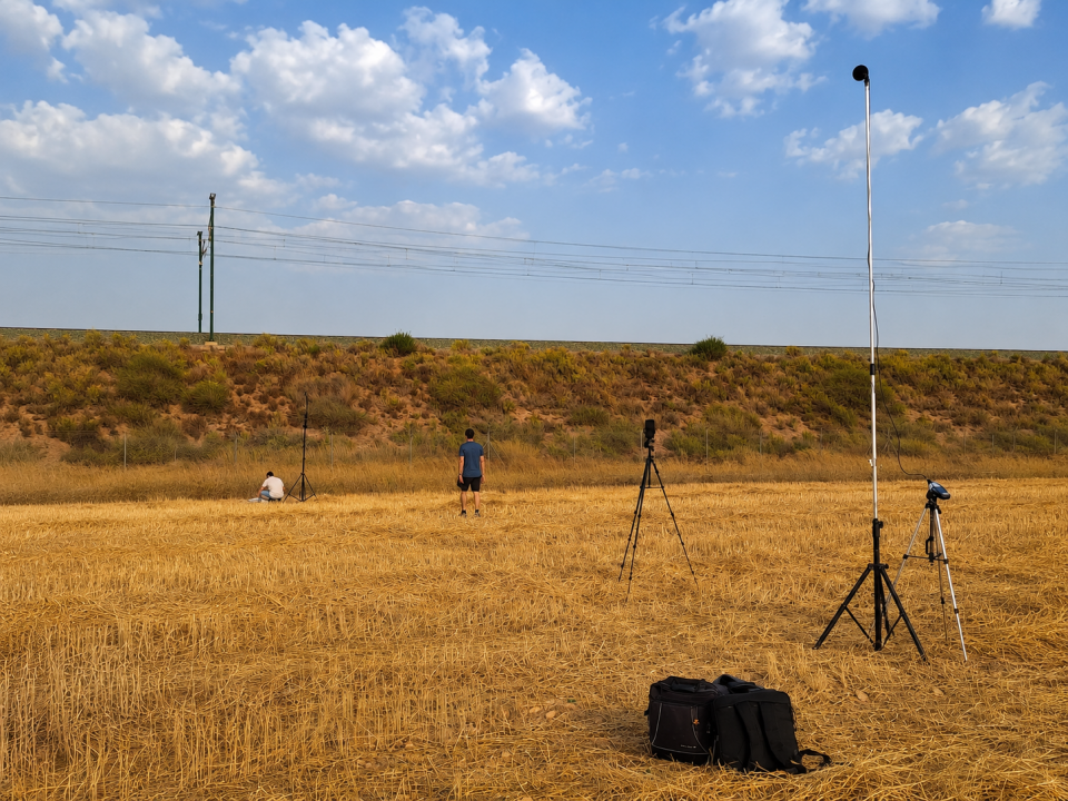 Work in a field