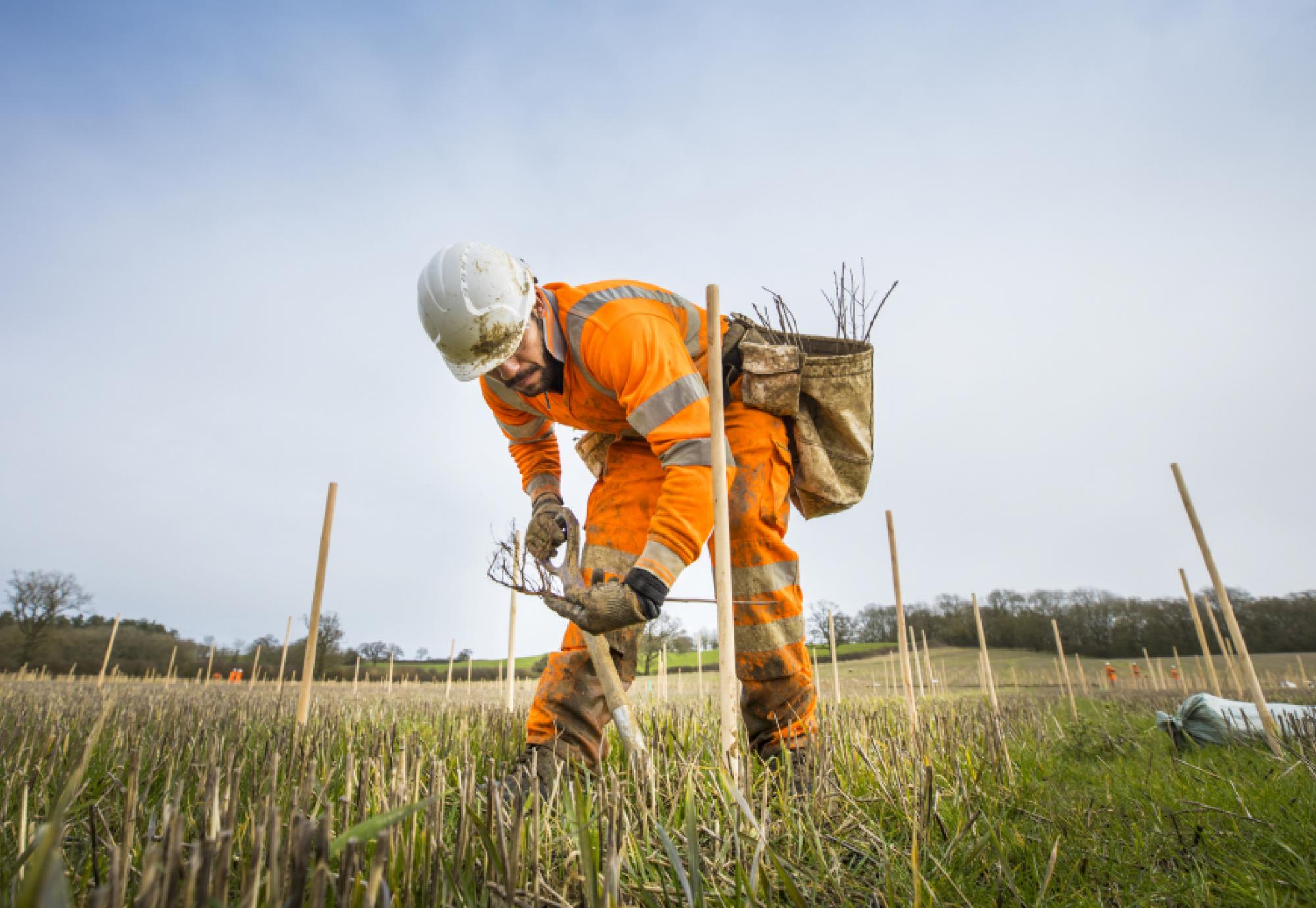 HS2 environmental benefits report | Rail Technology Magazine