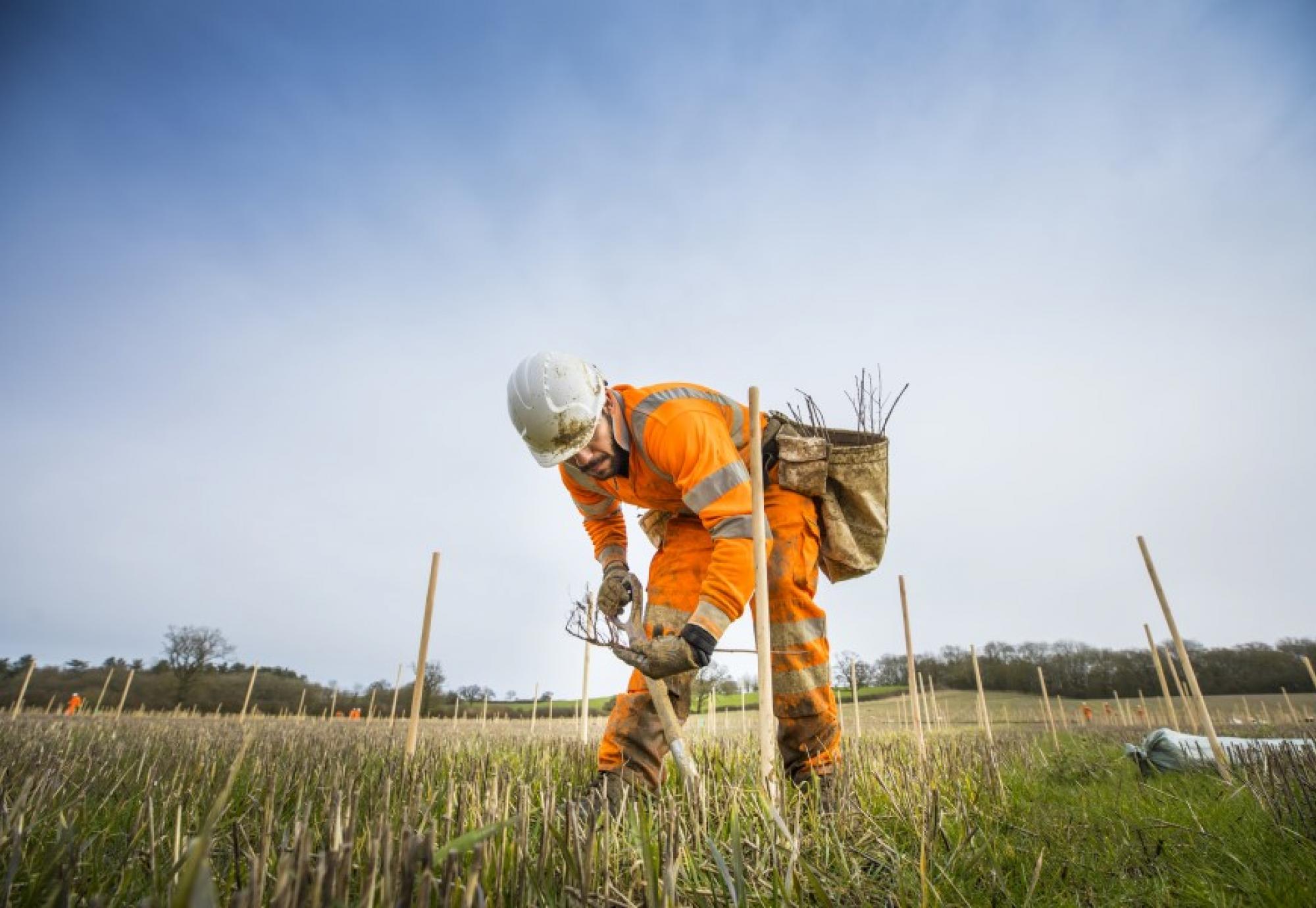 HS2 launches innovative approach to tackling biodiversity loss  