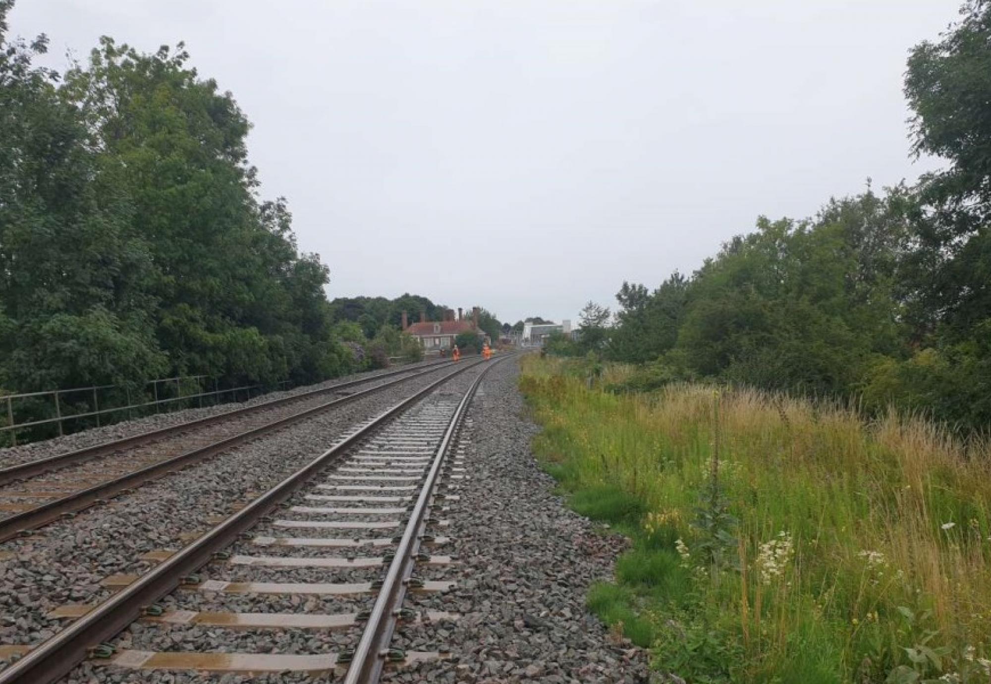 Vegetation work starts at Market Harborough