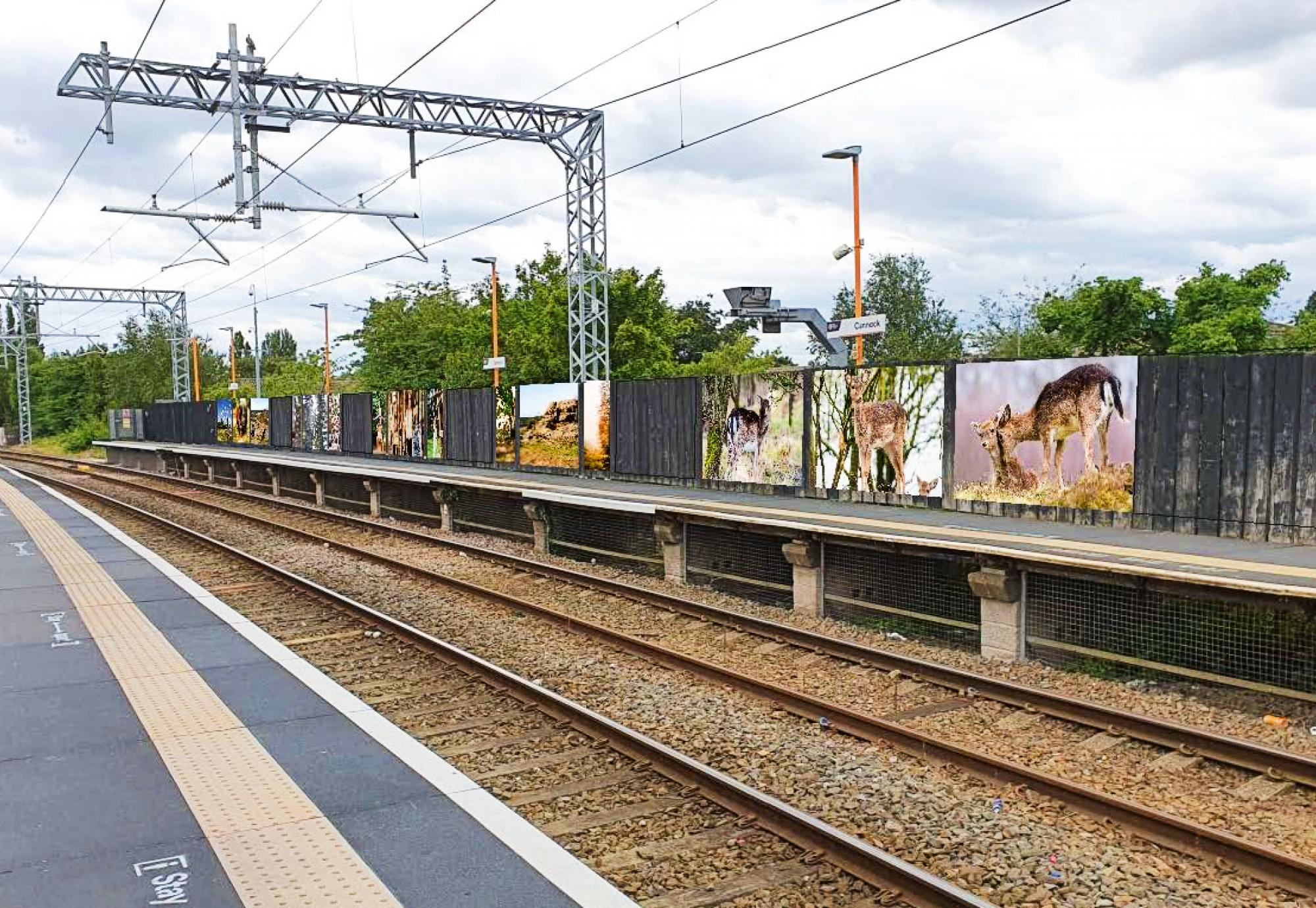 Cannock station