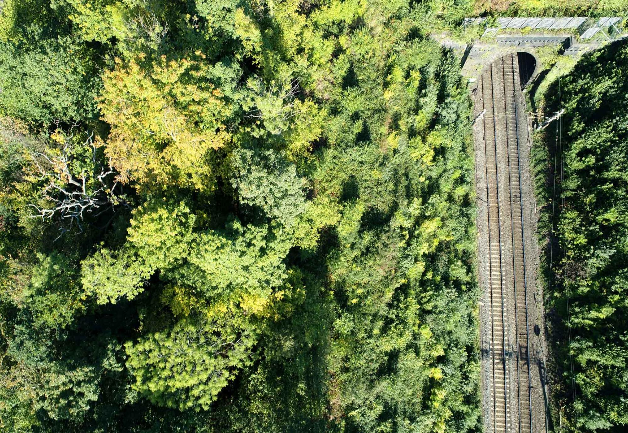 Green surroundings on railway