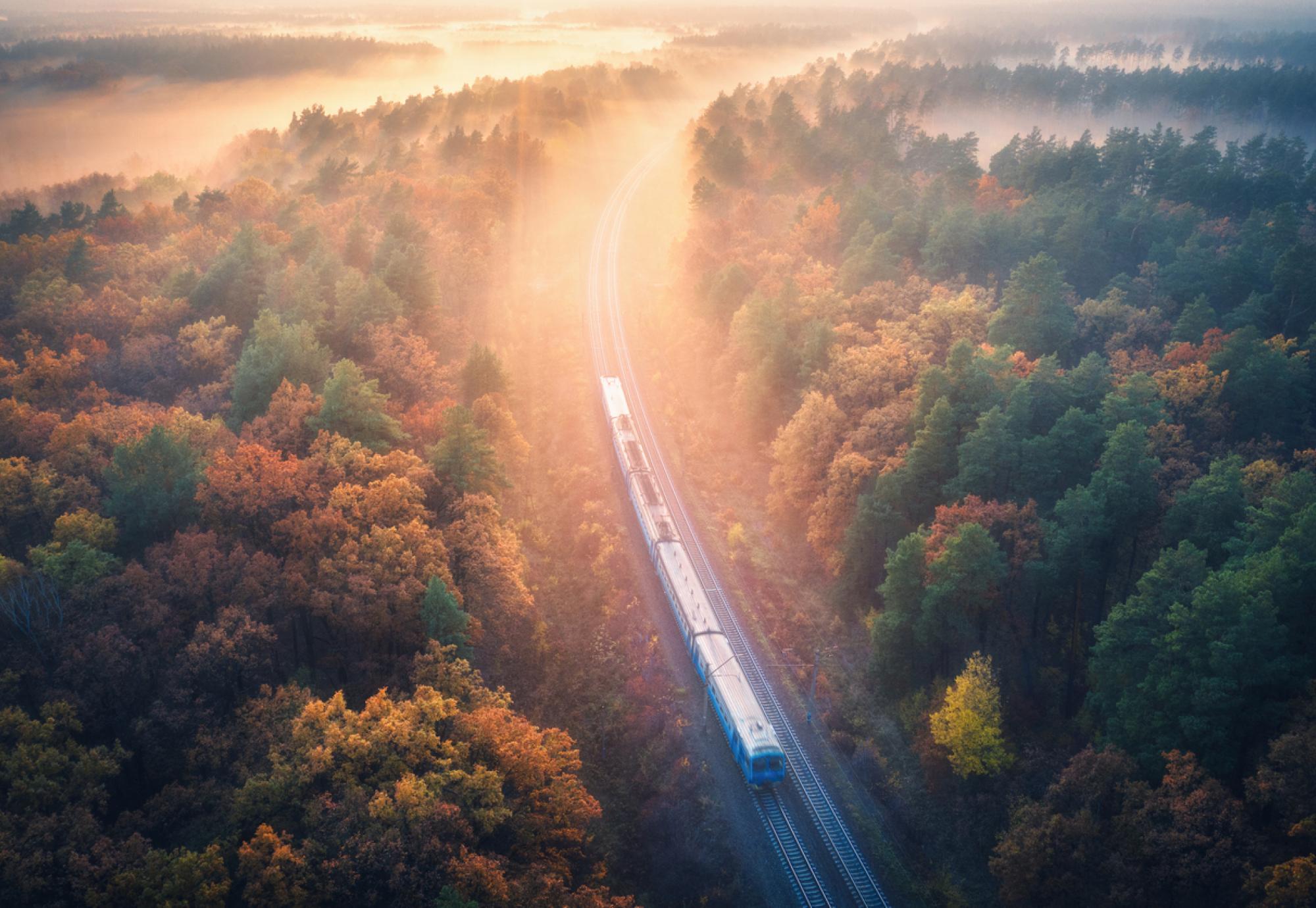 Train travels down tracks