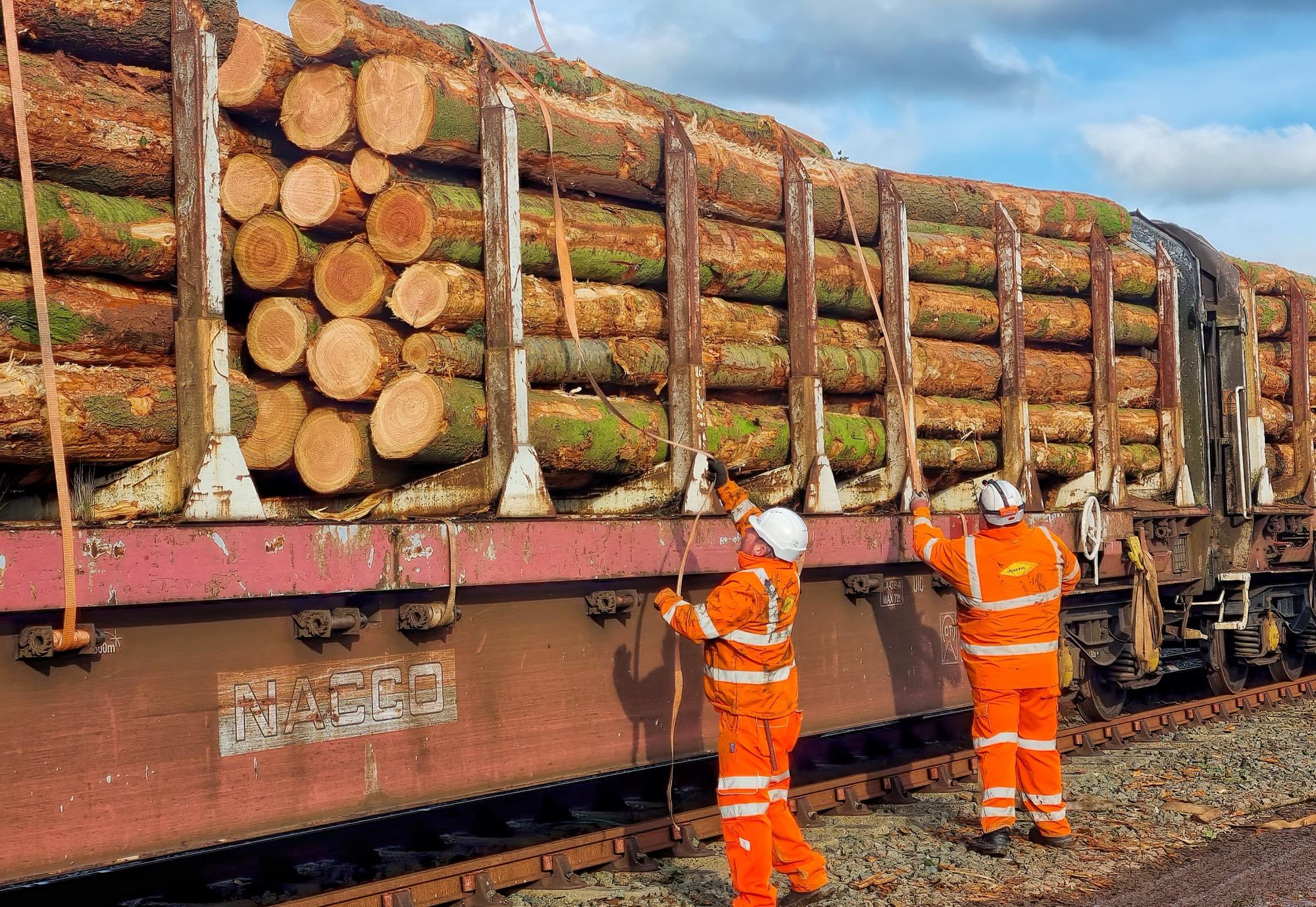 Timber secured to train