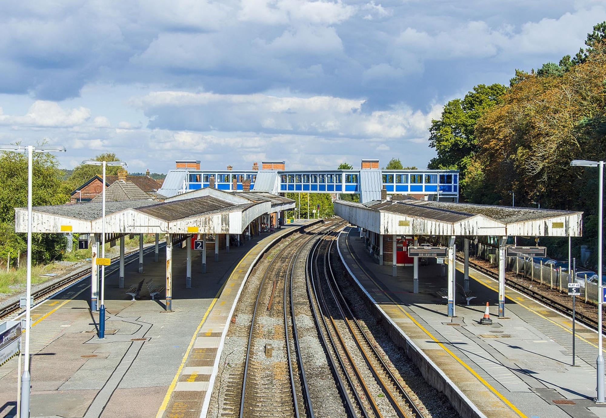 New Forest railway line