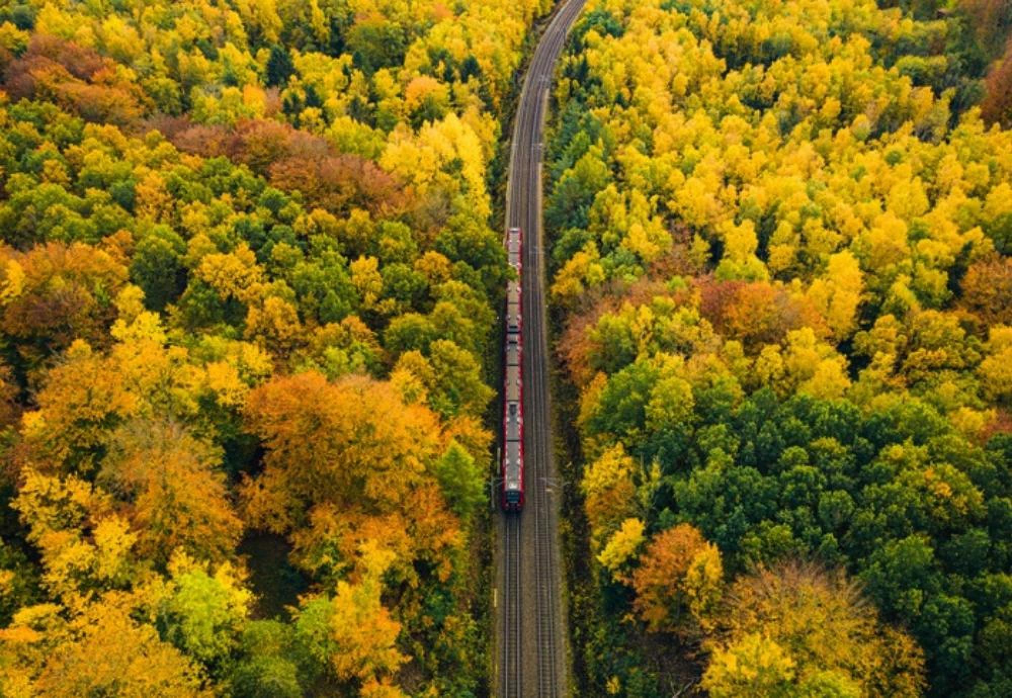 Train travels down tracks