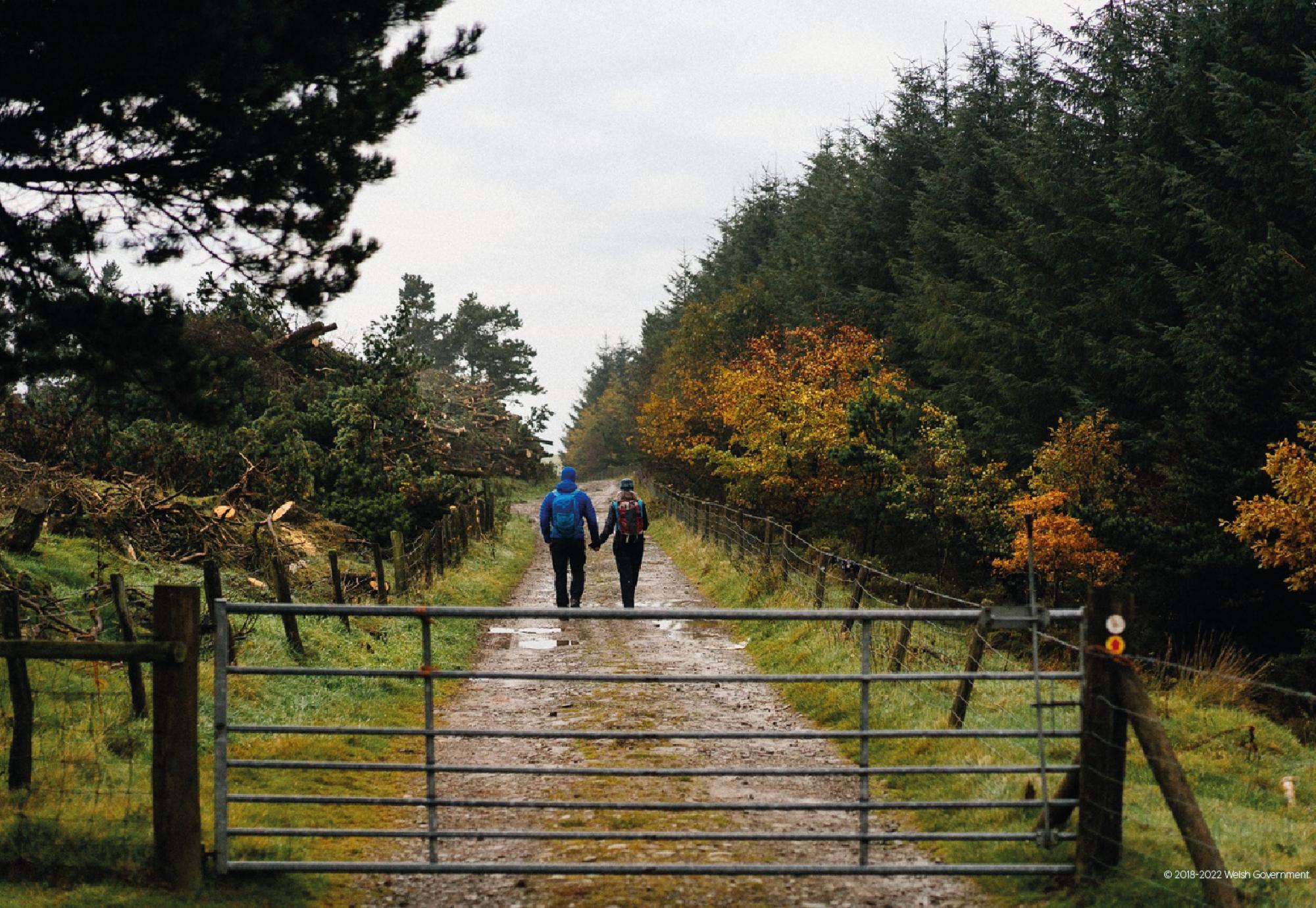 Community woodland via TfW 