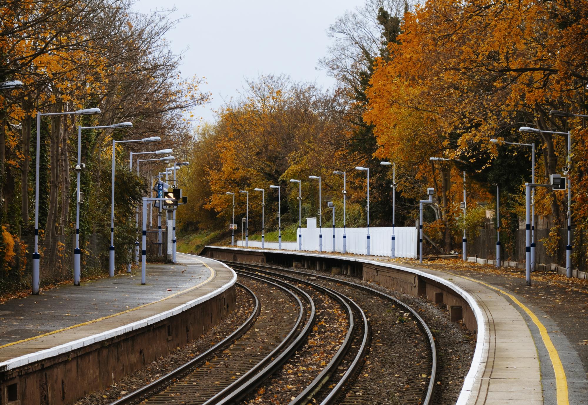 Leaves on the line, via Istock 