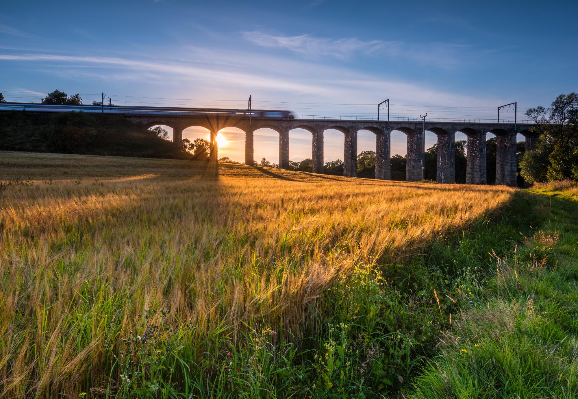 A golden crop of barley below the railway viaduct with motion blurred train at Lesbury, as the River Aln approaches the North Sea at Alnmouth, via Istock 