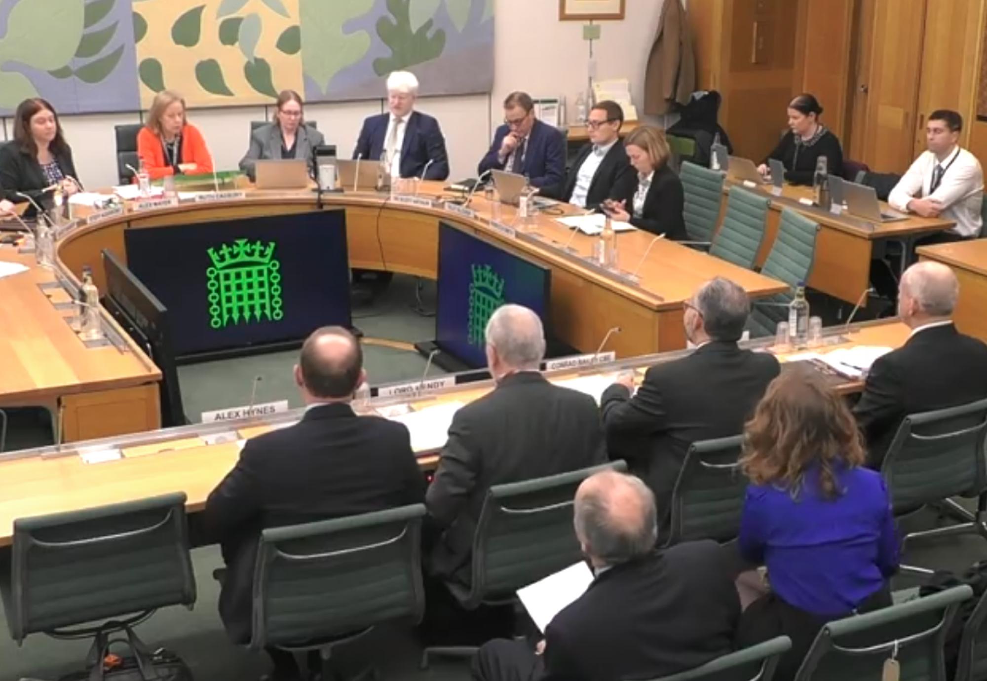 Parliament Committee
