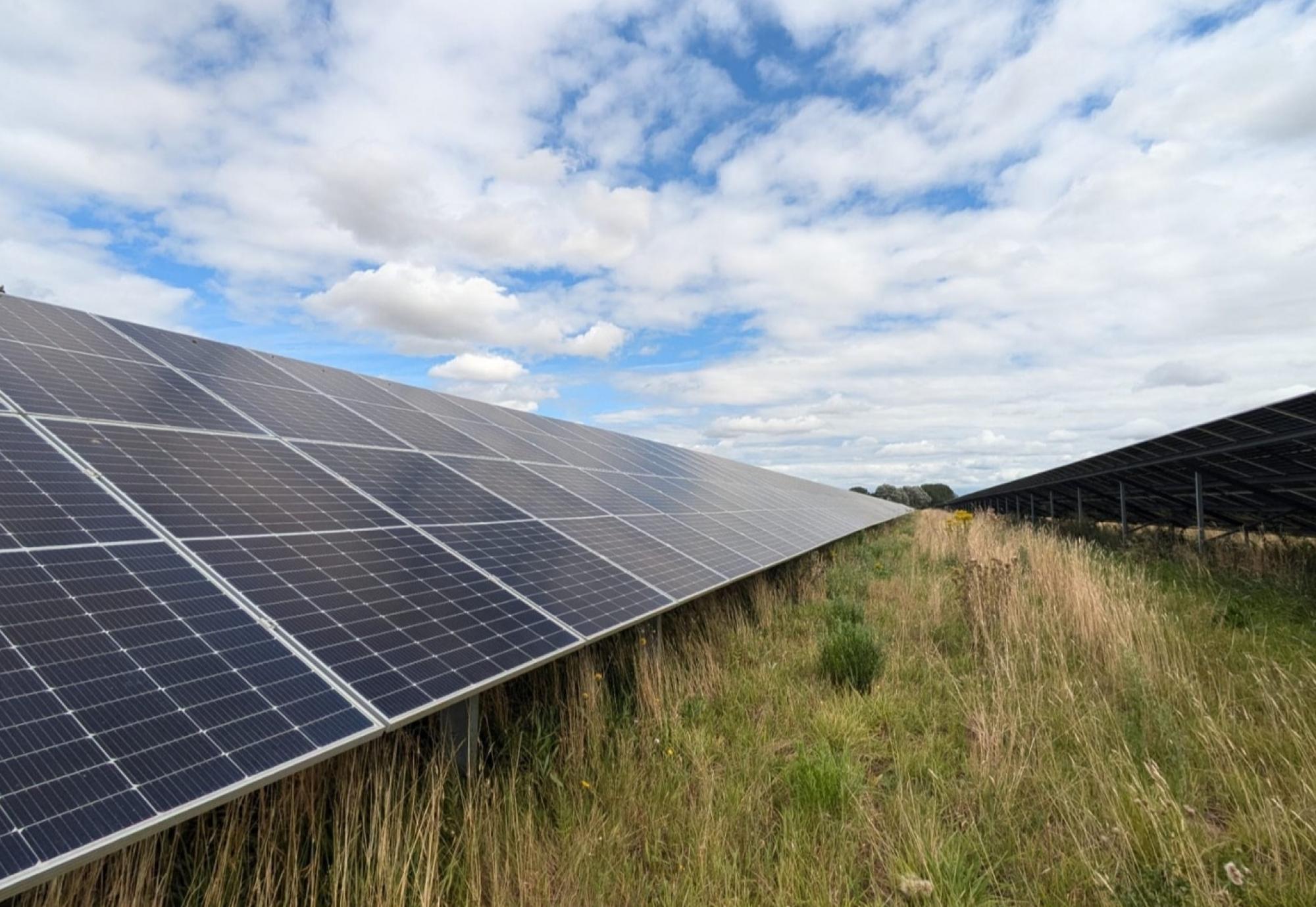 Solar Farm