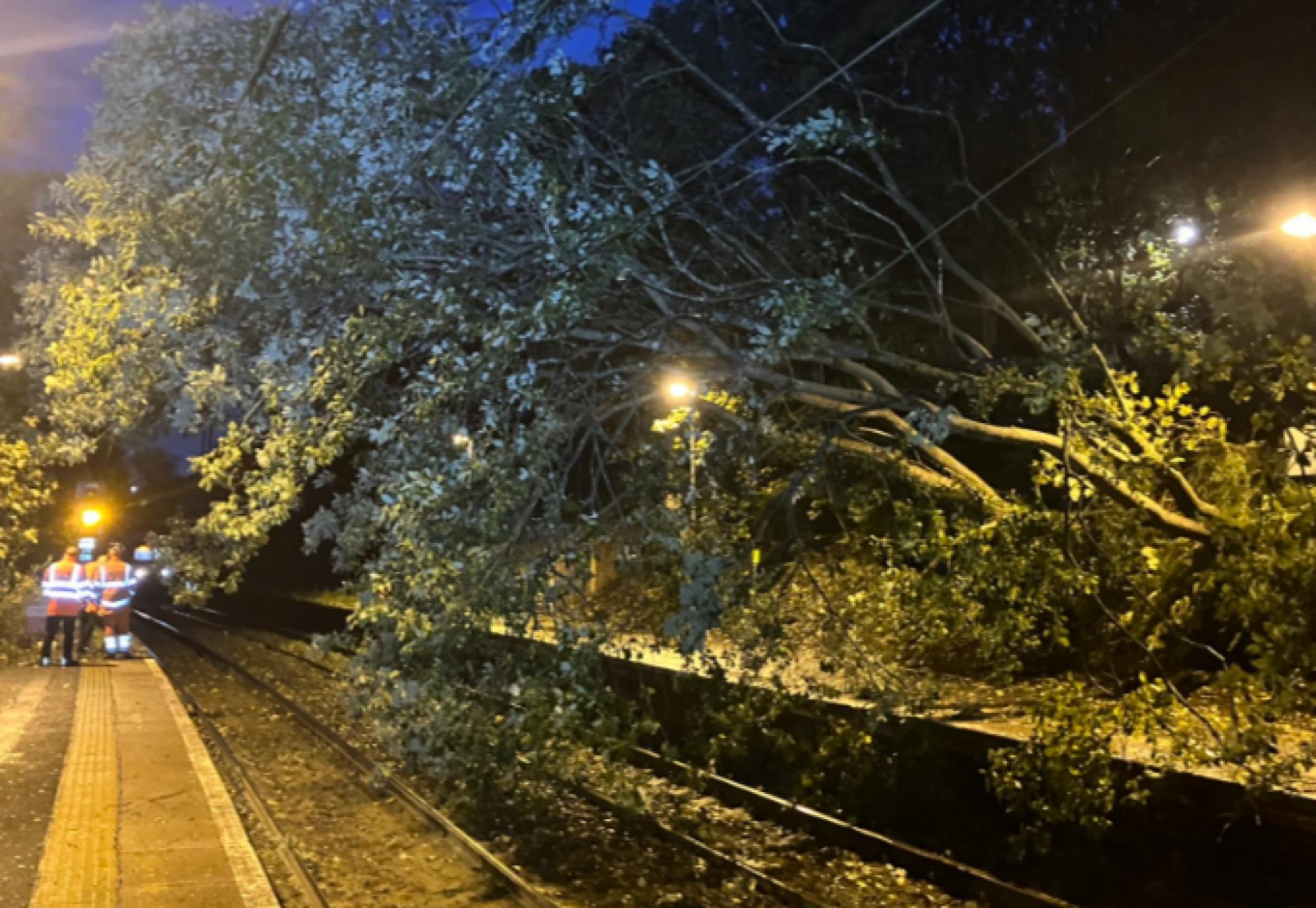 Storm Amy Pic 1