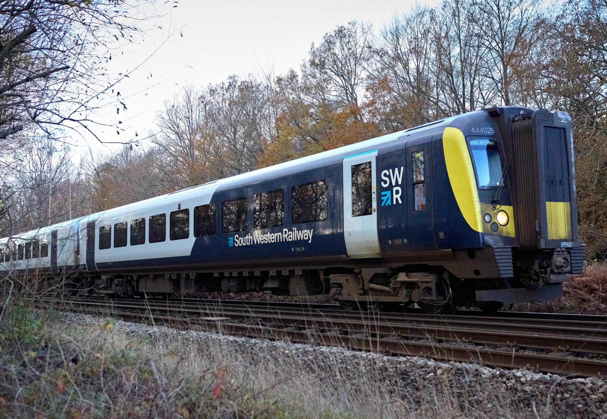 SWR Train in New Forest
