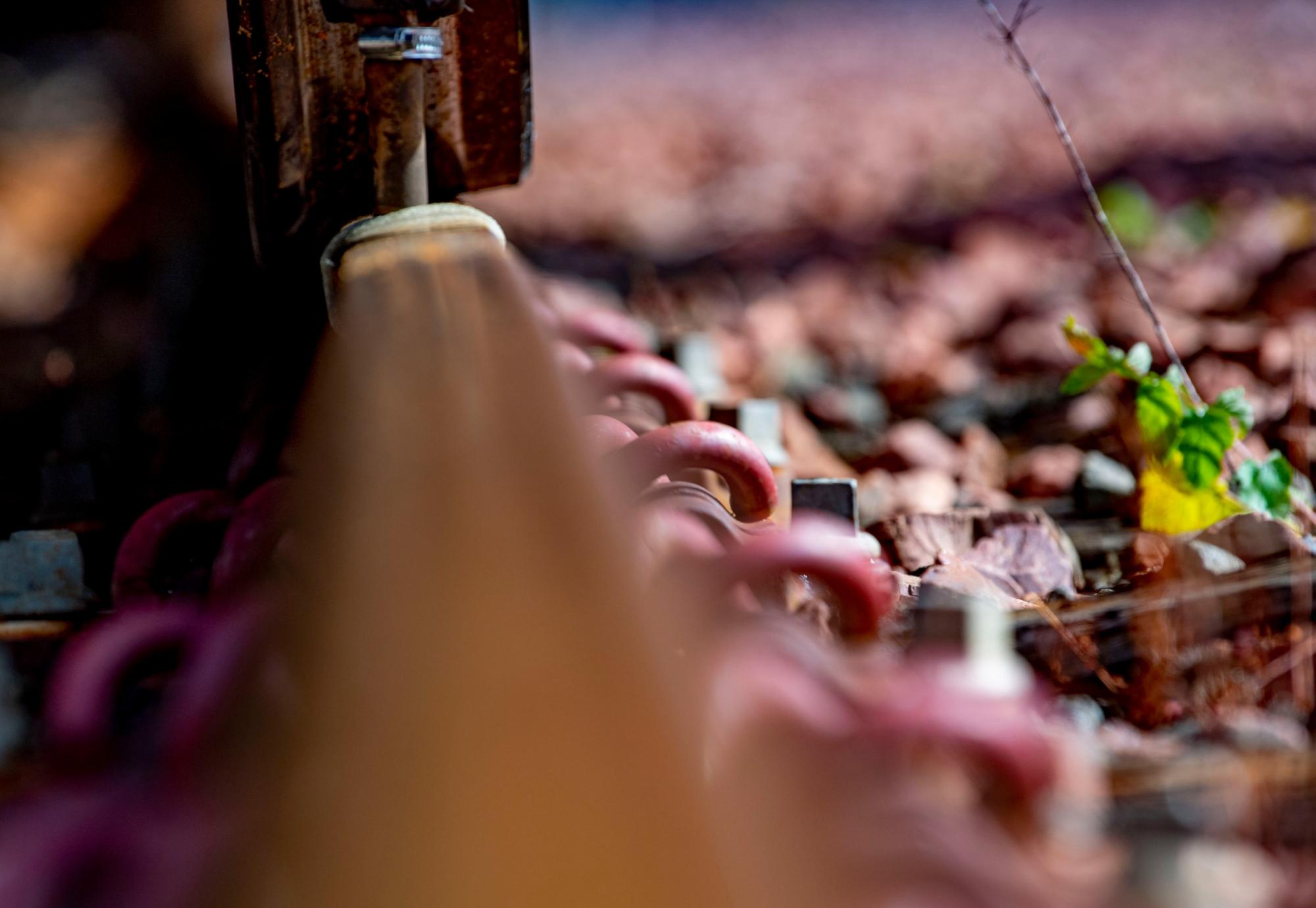 Leaves on the line