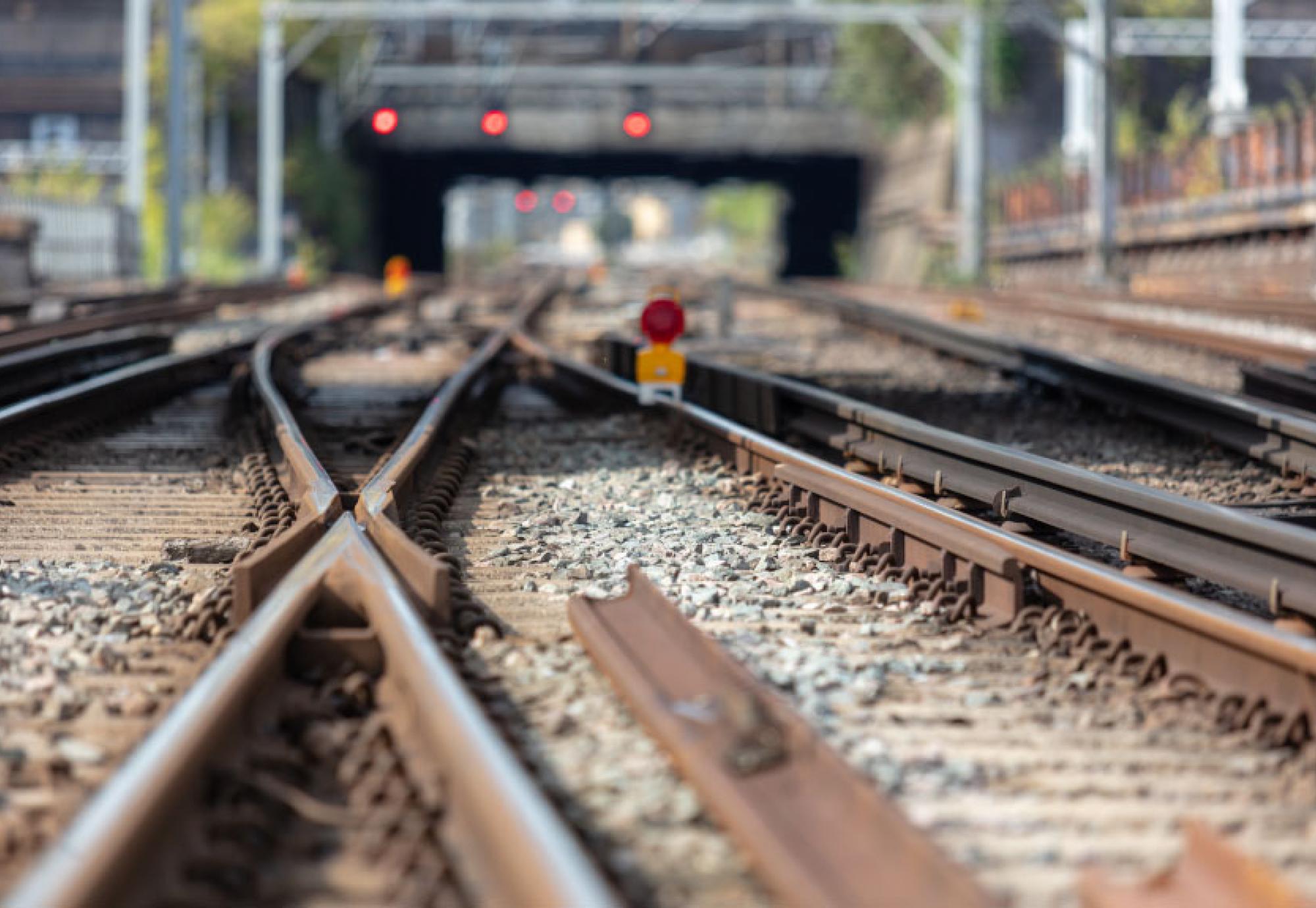 WCML Decision Cover Image