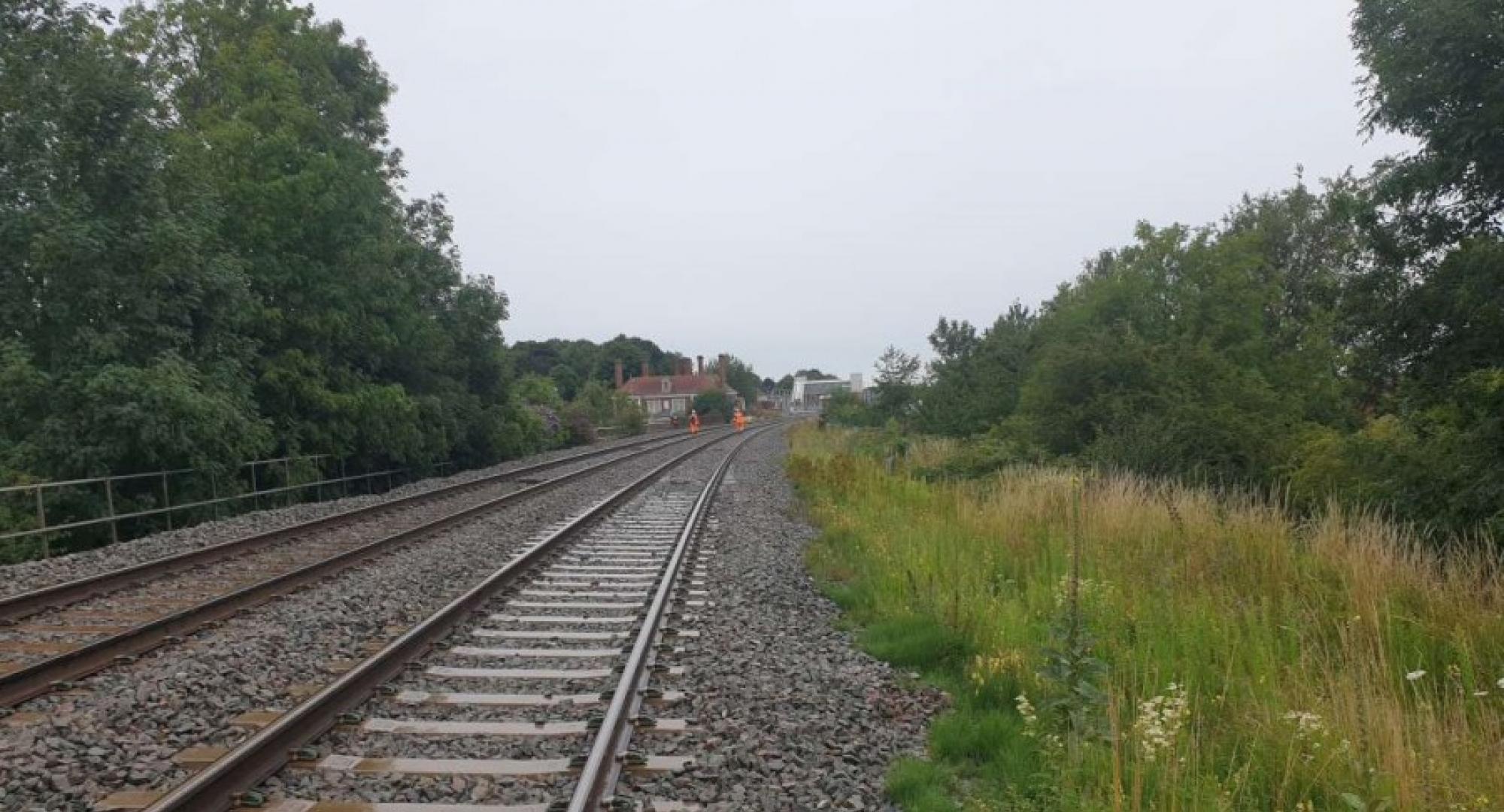 Vegetation work starts at Market Harborough