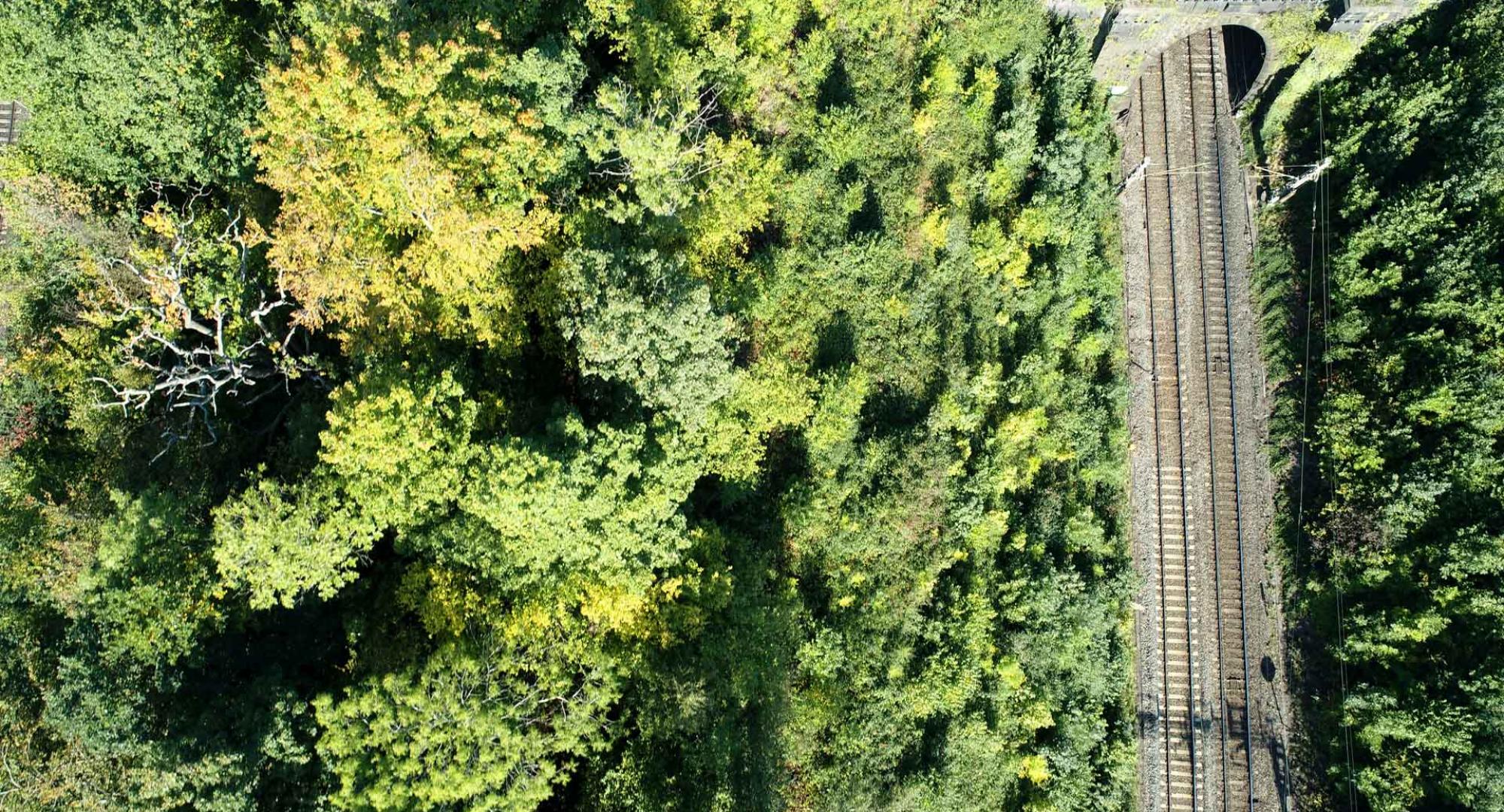 Green surroundings on railway