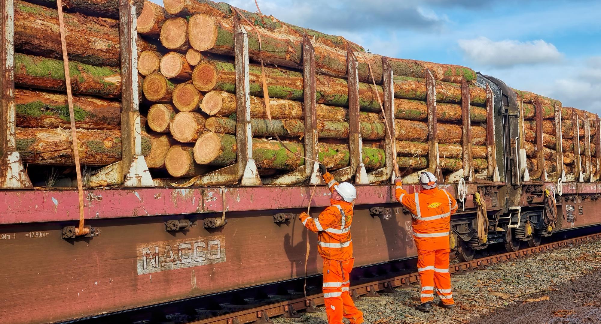 Timber secured to train