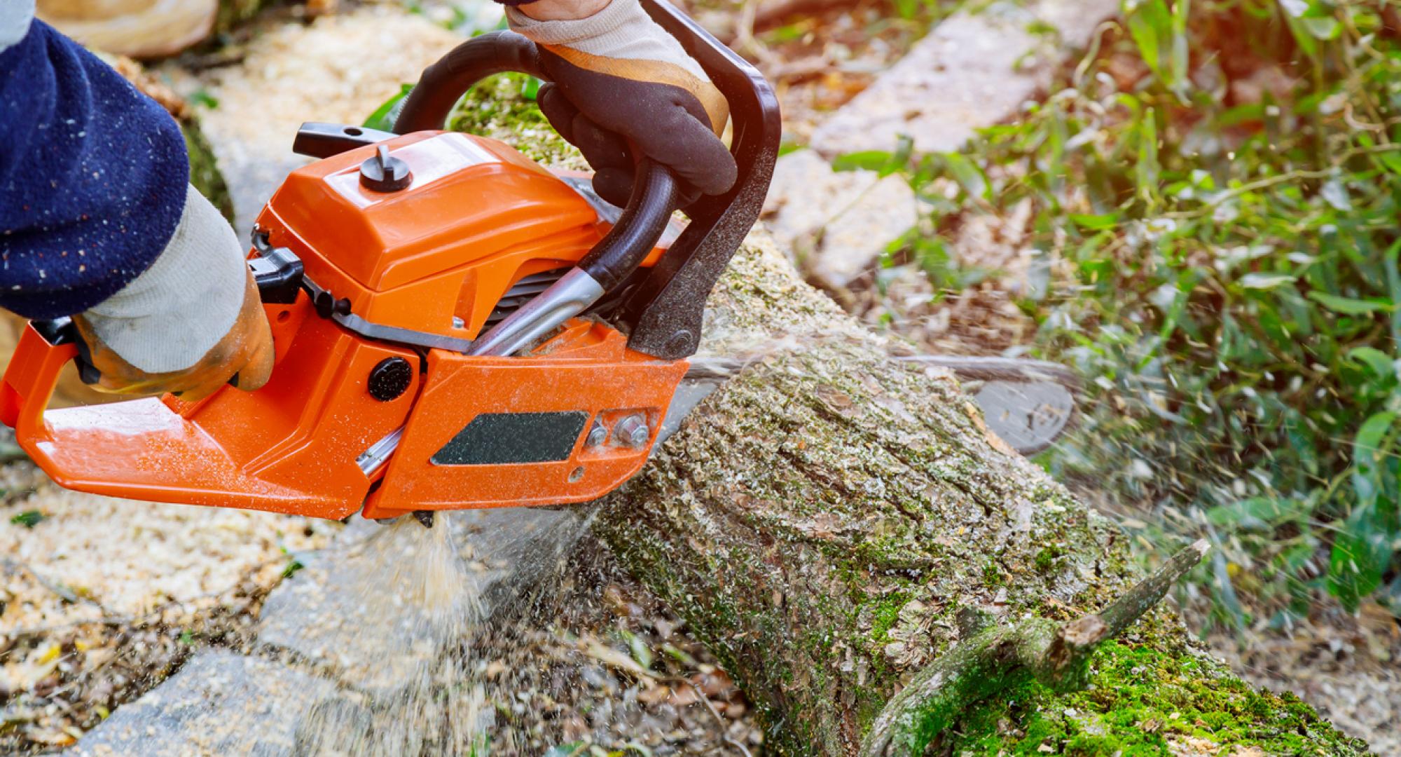Tree management 