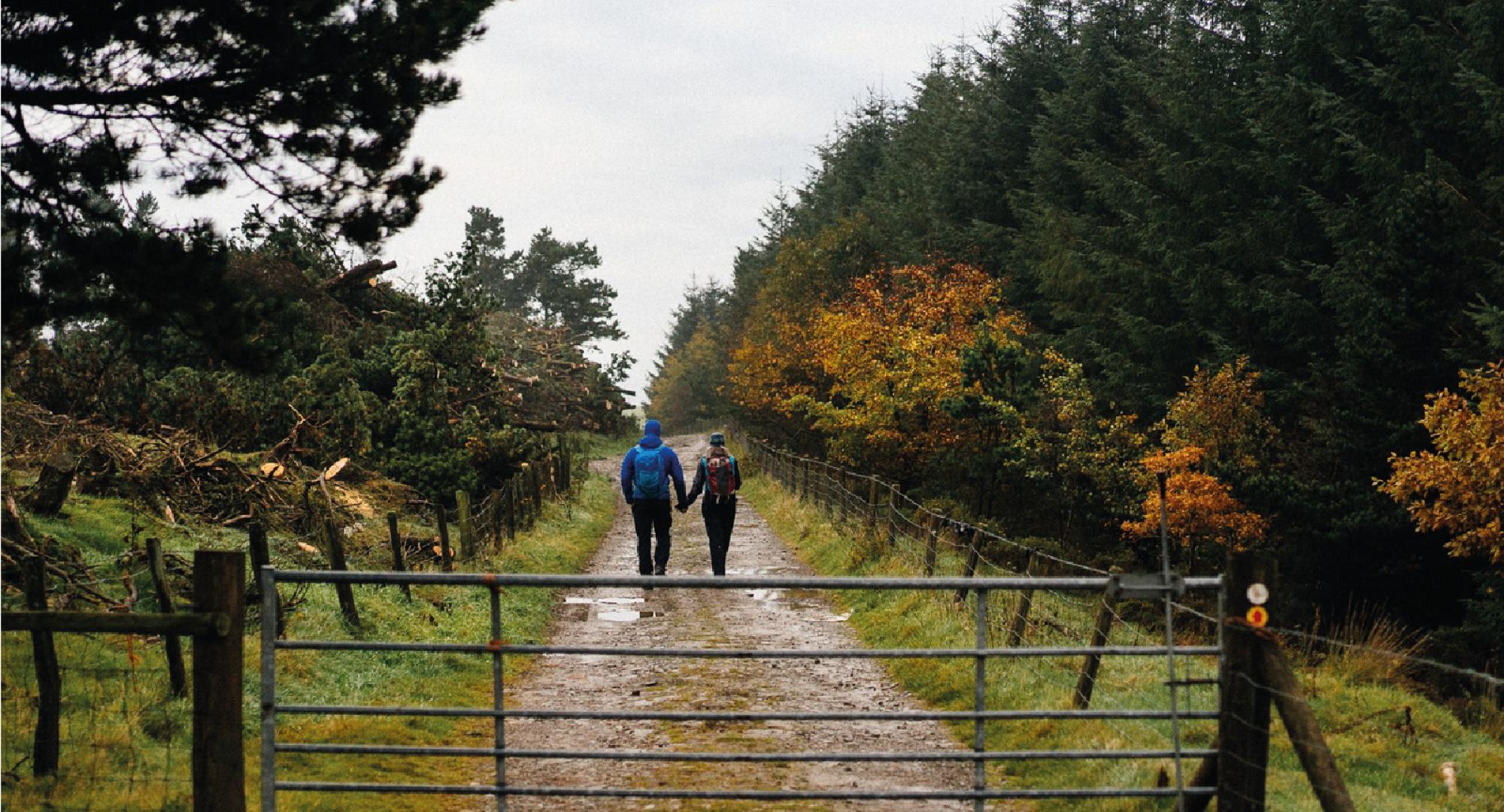 Community woodland via TfW