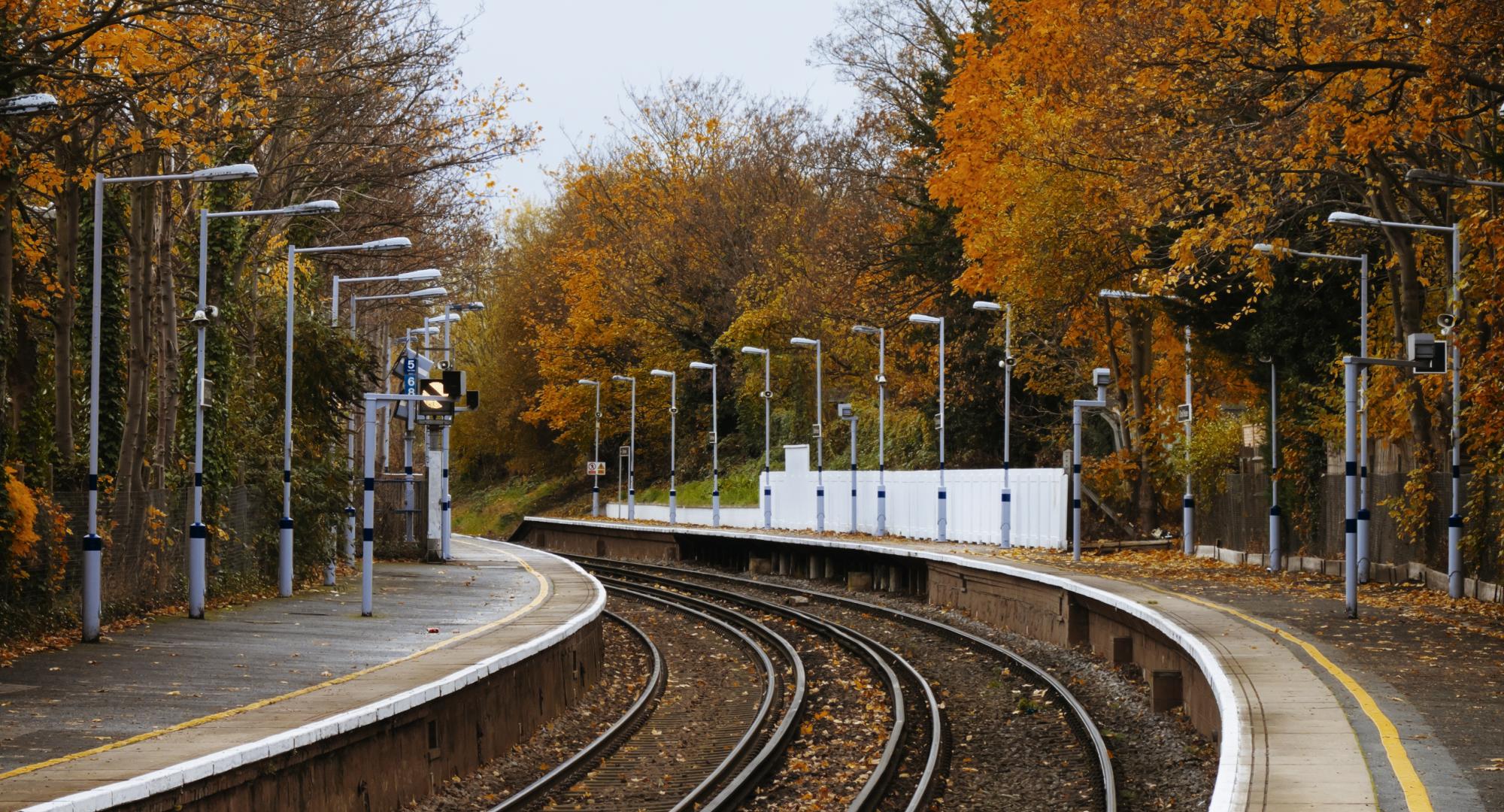 Leaves on the line, via Istock 