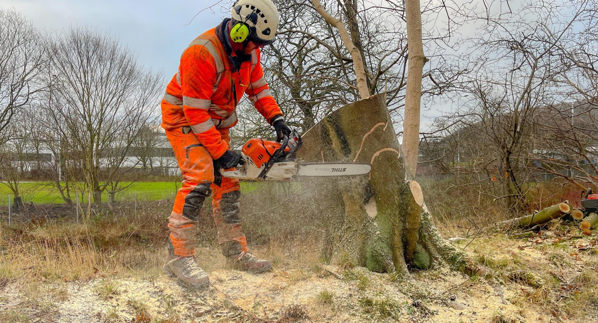 Network Rail worker felling tree
