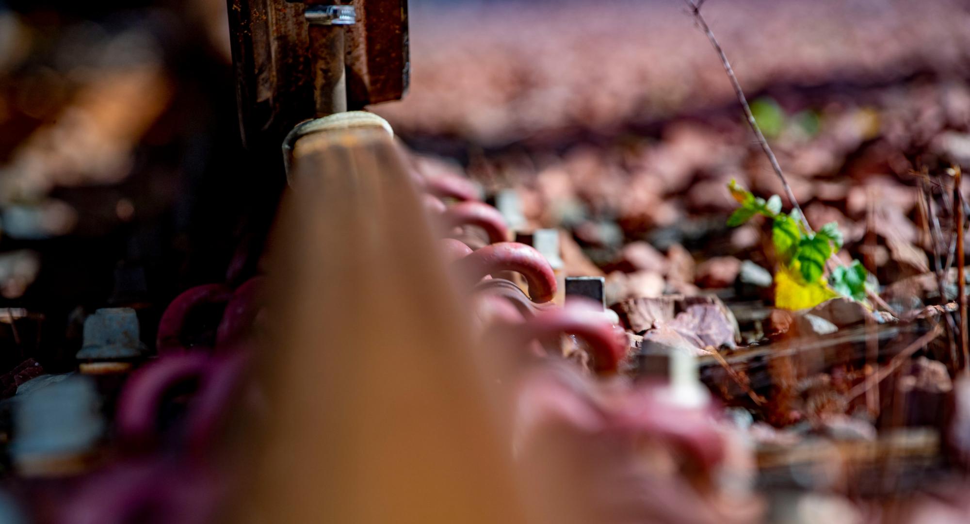 Leaves on the line