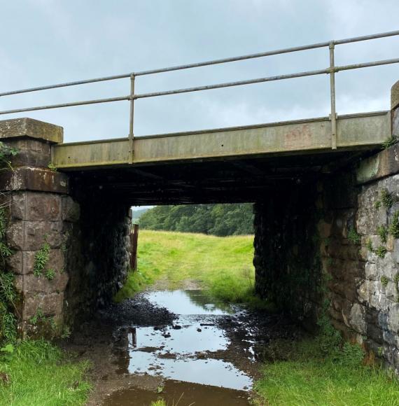 Stainforth bridge 