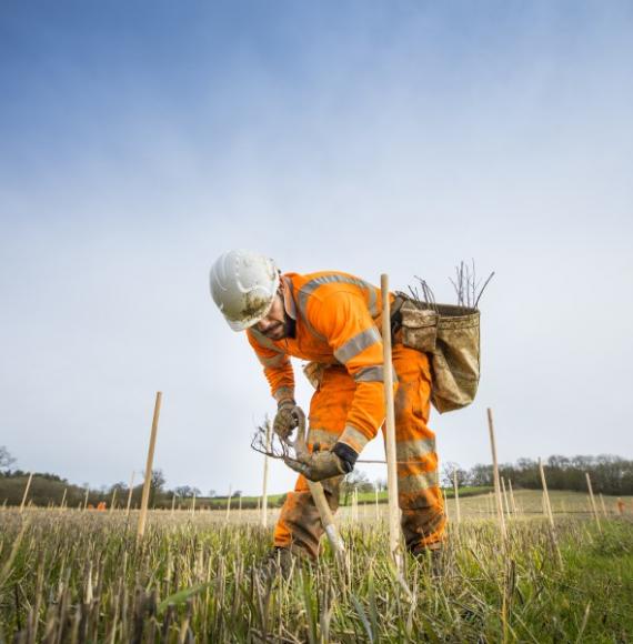 HS2 launches innovative approach to tackling biodiversity loss  