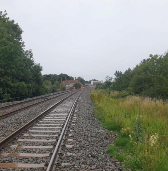 Vegetation work starts at Market Harborough