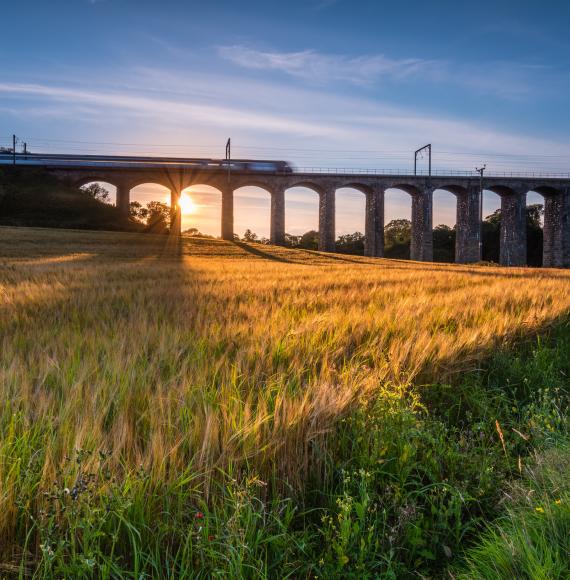 Train travelling over a viaduct