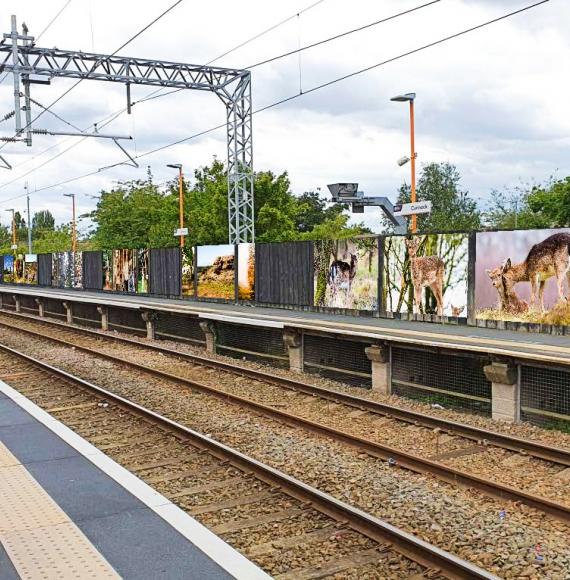 Cannock station