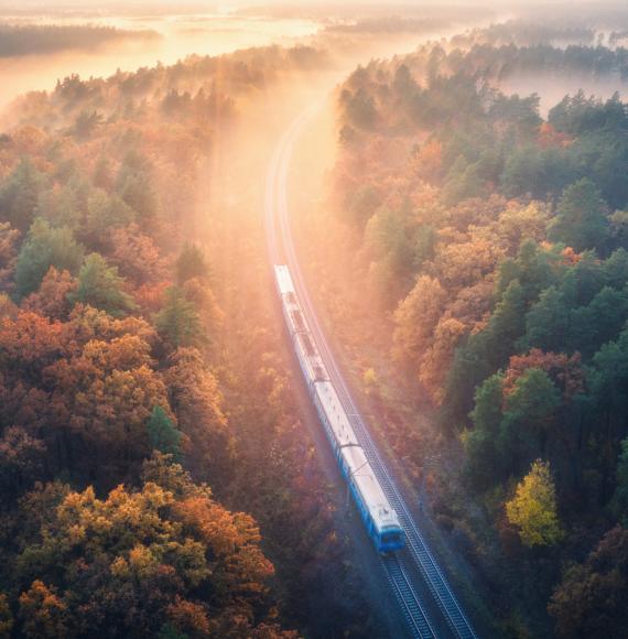 Train travels down tracks