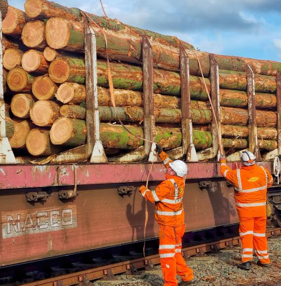 Timber secured to train