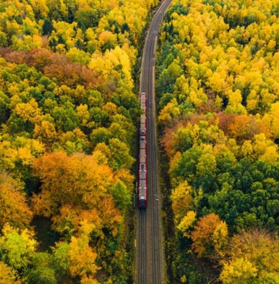 Train travels down tracks