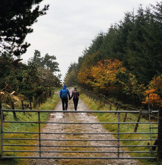 Community woodland via TfW 