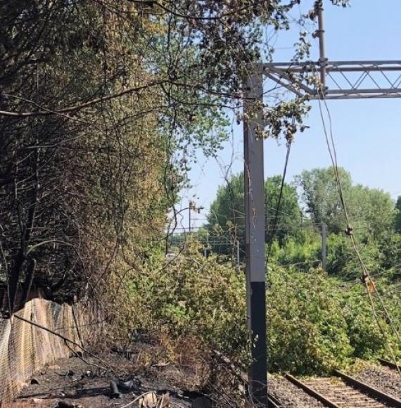 Tree blocking the West Coast main line after fire in Harrow, via Network Rail 