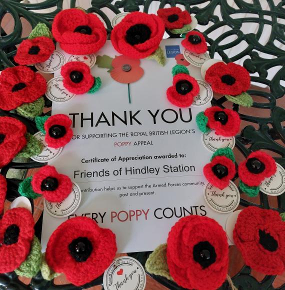 Hindley poppy display 