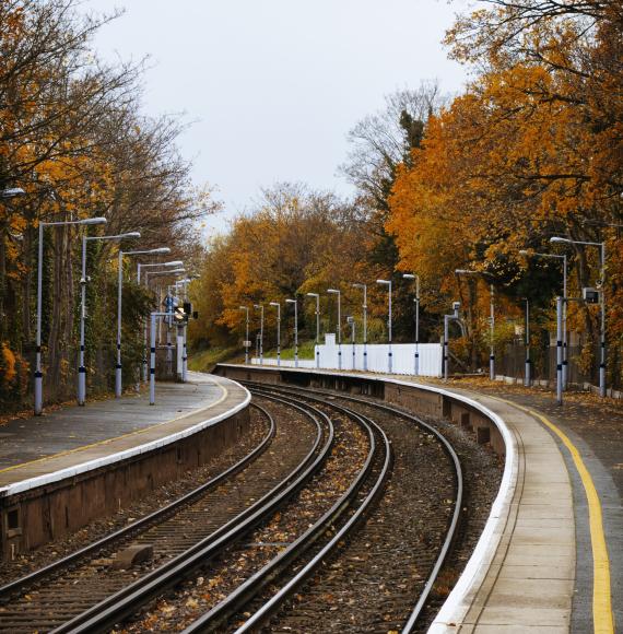 Leaves on the line, via Istock 