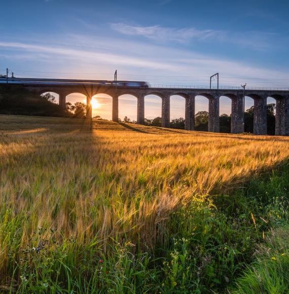 A golden crop of barley below the railway viaduct with motion blurred train at Lesbury, as the River Aln approaches the North Sea at Alnmouth, via Istock 